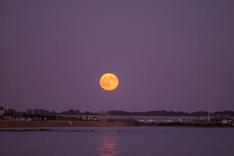 Read more about the article Sturgeon Moon Over Madison