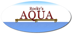 Read more about the article Rocky’s Aqua – Waterside in Clinton, CT