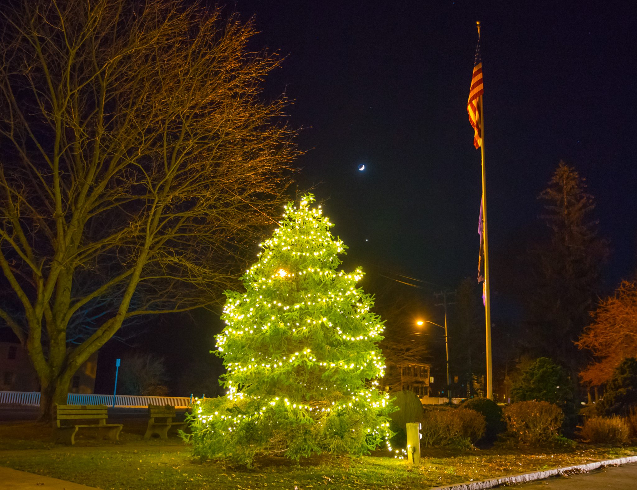 Christmas Tree on the Town Green Madison CT ShorelinePixels
